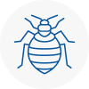 Bed Bug Extermination In Pontefract