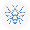 Pontefract Hornet Nest Removals