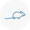 Mice Exterminators In Pontefract