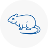 Rat Control Pontefract