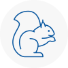 Pontefract Rodent Removals