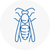 Pontefract Wasp Nest Removal